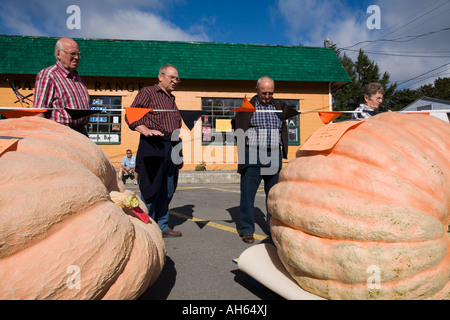 Riesen-Kürbis wiegen Pumpkinfest 2007 Cooperstown New Yorker Stockfoto