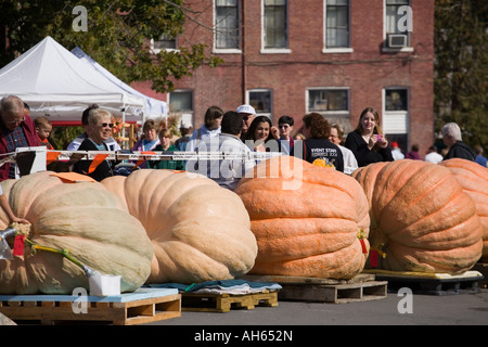 Riesen-Kürbis wiegen Pumpkinfest 2007 Cooperstown New Yorker Stockfoto