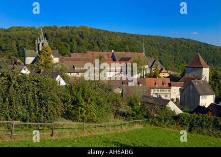 Bebenhausen, Naturpark Schönbuch, Baden-Württemberg, Deutschland, Europa Stockfoto