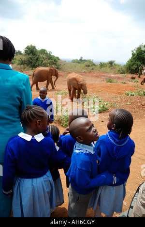 Kinder im Grundschulalter bei einem Besuch auf der Elephant Orphanage Nairobi Kenia in Ostafrika Stockfoto