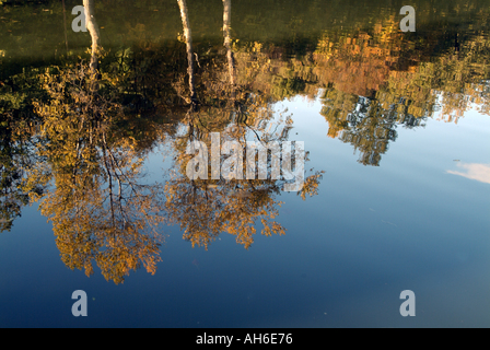 Frankreich Isere Ruy bunte Bäume im Herbst spiegelt sich im Wasser Stockfoto