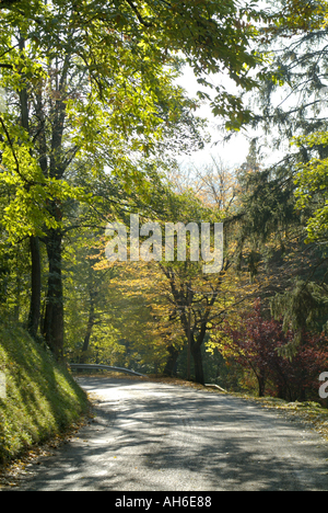 Frankreich Isere Ruy Landstraße zwischen bunten Bäumen im Herbst Stockfoto