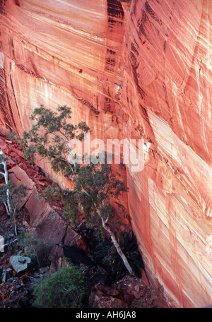 Kings Canyon Red Centre Zentralaustralien Nordterritorium NT47 20 Stockfoto