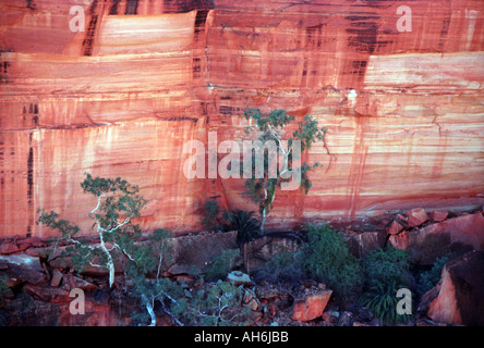 Kings Canyon Red Centre Zentralaustralien Nordterritorium NT47 23 Stockfoto