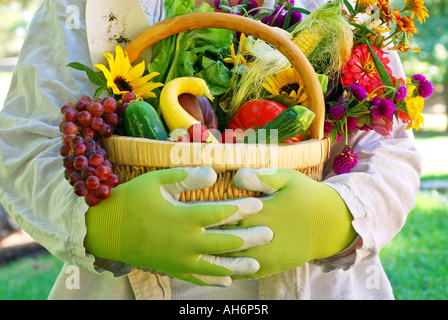 Gärtner hält einen Weidenkorb gefüllt mit Obst und Gemüse und Blumen frisch aus dem Garten Stockfoto