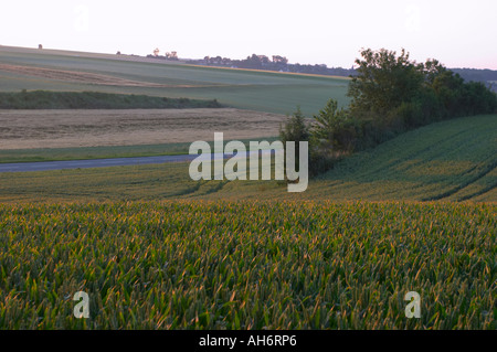 Der Somme bei Mametz Blick über ehemalige Schlachtfelder aus The Devonshire Friedhof Picardie Frankreich Stockfoto