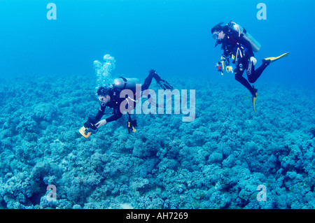ÄGYPTEN ROTES MEER SHARM EL SHEIKH TAUCHEN STROUD TAL SUB-AQUA CLUB MITGLIEDER ZYKLON SAM UND RICHARD HORNE DREHARBEITEN Stockfoto