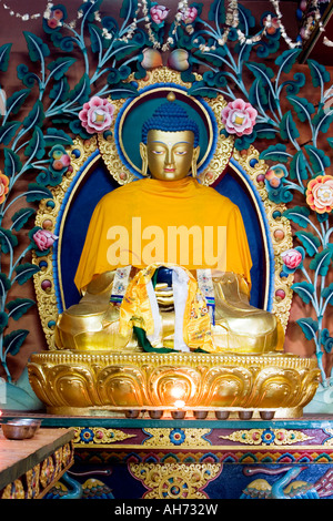 Goldene Medizin-Buddha-Statue in tibetisch-buddhistischen Kloster. Boudhanath Stupa, Pashupatinath, Kathmandu, Nepal Stockfoto