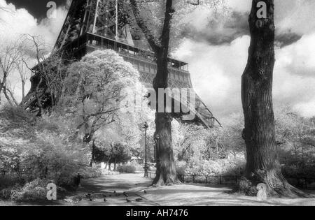 Der Eiffel Turm Champs de Mar Paris France Stockfoto