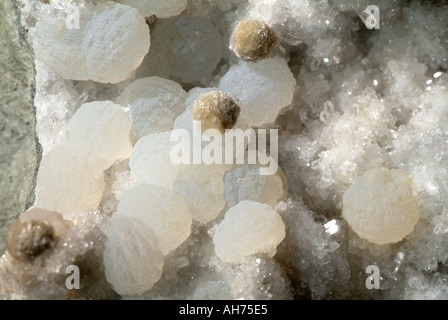 Mineralische Apophyllite, Poona, Indien Stockfoto