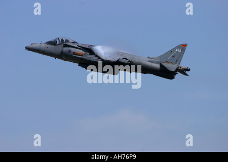 BAe Harrier GR7 Stockfoto