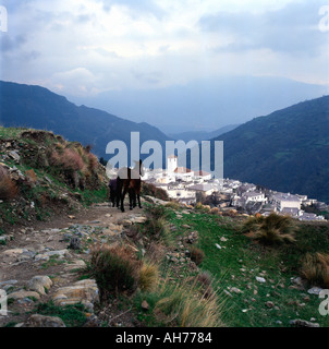 Ein Bauer ein Pferd über dem weißen Dorf Capileira in den Alpujarras Sierra Nevada in Andalusien Südspanien Wandern Stockfoto