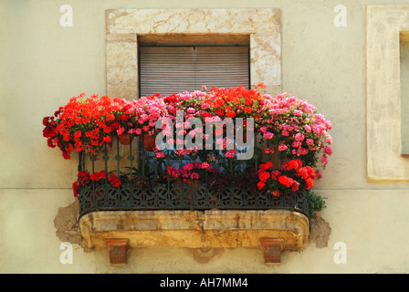 Fensterkasten farbenfrohe Sommerpräsentation von roten Geranien im flachen Appartement Balkonfenster mit geschlossener Sonnenblende Tarragona Katalonien Spanien EU Stockfoto