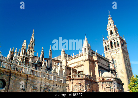 Die Giralda Turm und Kathedrale von Sevilla in Andalusien Spanien Stockfoto