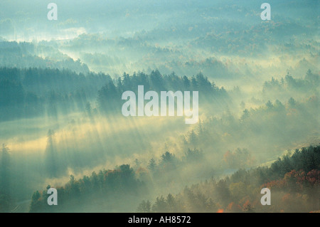 Nebel über Green Mountains von Vermont in der Nähe von Stowe Stockfoto