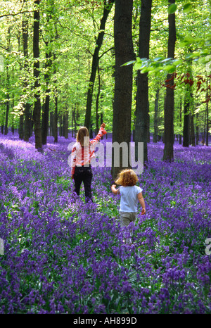 Kinder spielen - Ashridge Woods Glockenblumen - Buckinghamshire Stockfoto