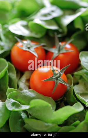 Drei Tomaten und Kopfsalat - selektiven Fokus Stockfoto