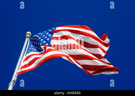 USA Flagge im Wind wehende Stockfoto
