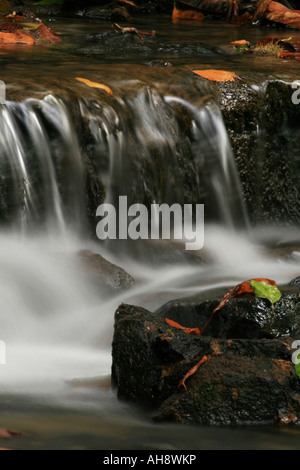 Wasser über ein kleines Wehr Kaskadierung Stockfoto