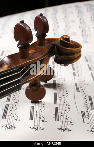 Musik klassische Algorithmus spielen Spieler Instrument Zeichenfolge Instrumentalist instrumental Orchester Symphonie tunes Musik Theorie Konzert dir Stockfoto