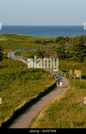 Trail nach Greenwich Strand im Nationalpark von Prince Edward Island Kanada führenden Stockfoto