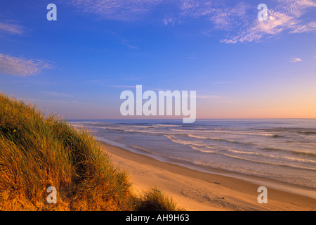 Späten Licht auf Oregon Dunes in Oregon Dunes national Recreation Area entlang der Pazifikküste in Oregon Stockfoto