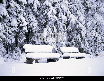 Zwei Bänke im Schnee, Lake Louise, Kanada Stockfoto