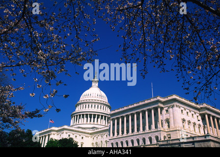 US-Kapitol, Washington, DC Stockfoto