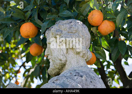 Anfang der 18c barocken Gärten des Bischofs (Jardim in Castelo Branco, Portugal Paco Episcopal tun). Der Kopf eines Heiligen Stockfoto