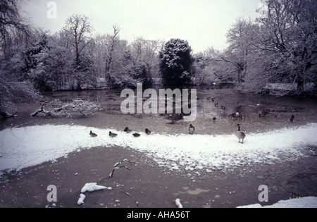 Dulwich Park gefrorenen See im Winter South London England Großbritannien Stockfoto