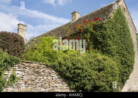 Eine rote rose, ein Steinhaus in der Cotswold-Dorf Swinbrook, Oxfordshire aufwachsen Stockfoto