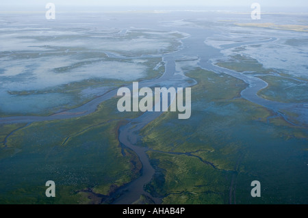 Seegras Betten aus Luft, Izembek Lagoon, Izembek National Wildlife Refuge, Alaska AERIAL Stockfoto