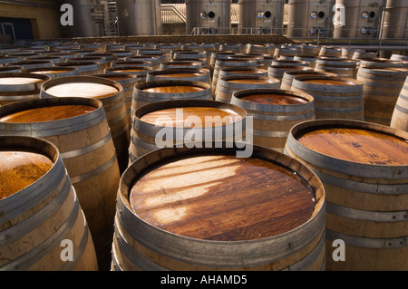 Reihen von Eiche Weinfässer mit Wein Gärung Edelstahltanks im Hintergrund das Regaliali Weingut in Sizilien Stockfoto