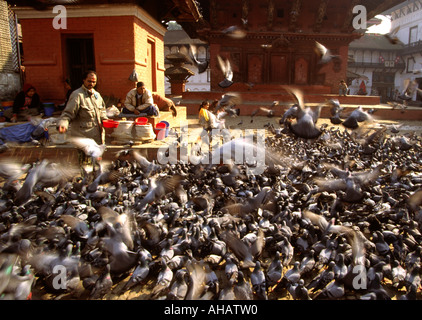 Nepal Kathmandu Durbar Square Tauben am Degutaleju Tempel Stockfoto