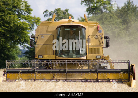 Mähdrescher im Bereich der Gerste Wiltshire England UK Stockfoto