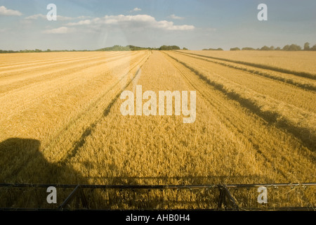 Blick vom Fahrerhaus des Mähdreschers Wiltshire England UK Stockfoto