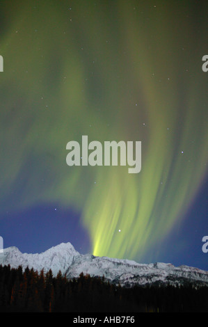 Nordlicht oder Aurora Borealis über Mt Alice und die Chugach National Forest in der Nähe von Seward Alaska Stockfoto