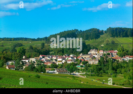 PERNAND-VERGELESSES - WEINBERGE - BURGUND - FRANKREICH Stockfoto