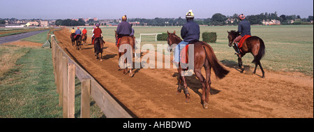 Pferderennen Galopps in Newmarket Heath Horses & Riders, die nach Übungen und Training am frühen Morgen zurückkehren, Suffolk Cambridgeshire grenzt an England Großbritannien Stockfoto