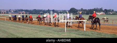 Pferderennen Galopps in Newmarket Heath Horses & Riders, die nach Übungen und Training am frühen Morgen zurückkehren, Suffolk Cambridgeshire grenzt an England Großbritannien Stockfoto