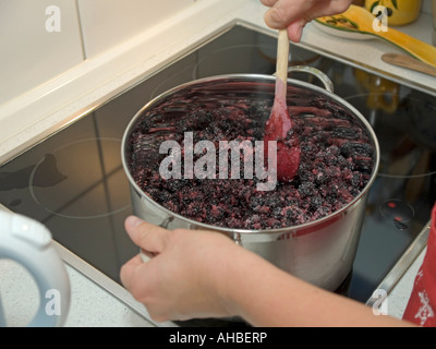 Herstellung von Konfitüre aus Heidelbeeren mischen Zucker im Kochtopf gefüllt mit Beeren auf Herd Herr Stockfoto