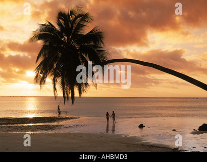 Paar und Ausleger unter überhängenden Palmen auf Aitutaki Insel bei Sonnenuntergang Stockfoto