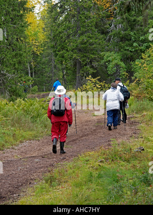 Nordic walking im Wald in Yllas Pallastunturi Nationalpark Lappland Finnland Stockfoto