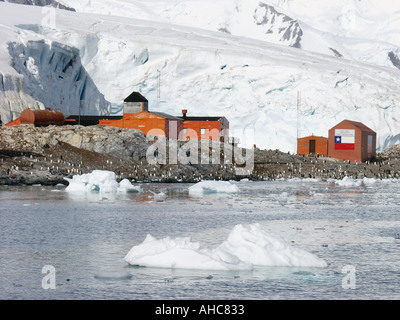 Pinguin-Kolonie am Bahnhof Gonzalez Videla in Waterboat Punkt in der Nähe von Paradise Hafen Antarktis chilenischen base Stockfoto