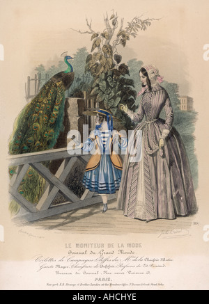 Im Wettbewerb mit Pfau Stockfoto