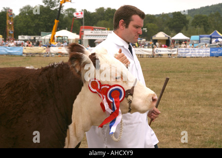 Die Cranleigh Show August 2006 Stockfoto