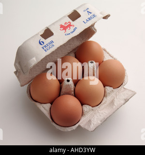 Einen Karton mit sechs Freilandeier auf einem weißen Hintergrund redaktionelle Essen Stockfoto