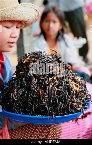 Khmer Frau verkaufen Vogelspinne Spinnen am Skuon, (Spiderville) auf SH6 Autobahn zwischen Phnom Penh und Siem Reap, Kambodscha. Stockfoto