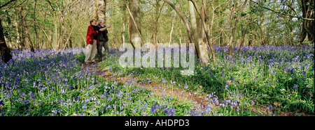 ÄLTERES PAAR NATURBEOBACHTUNG ZU FUß IN BLUE BELL HOLZ WALD VON DEAN WYE VALLEY UK Stockfoto