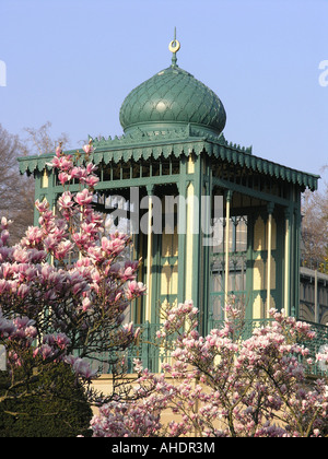 Magnolie im Stuttgarter Zoo Wilhelma Baden-Württemberg Deutschland Stockfoto